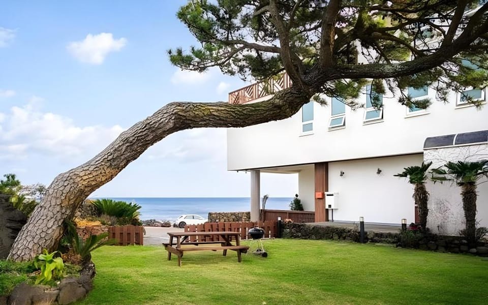 Seogwipo Jeju Tob Ocean View Pension Bed and Breakfast in South Korea