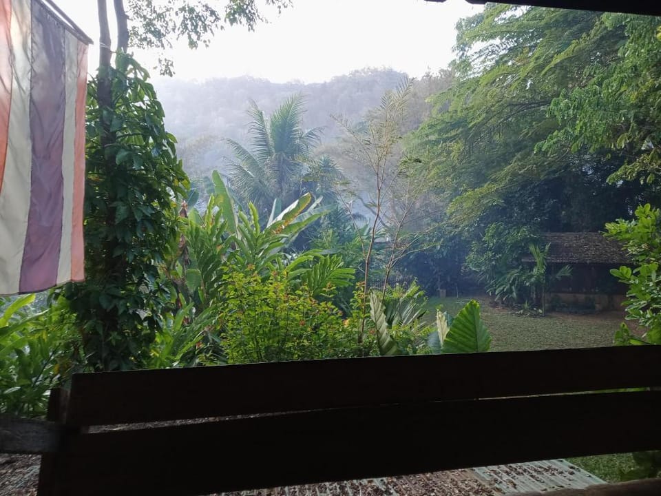 Hug Pangmao Homestay Farm Stay in Thailand