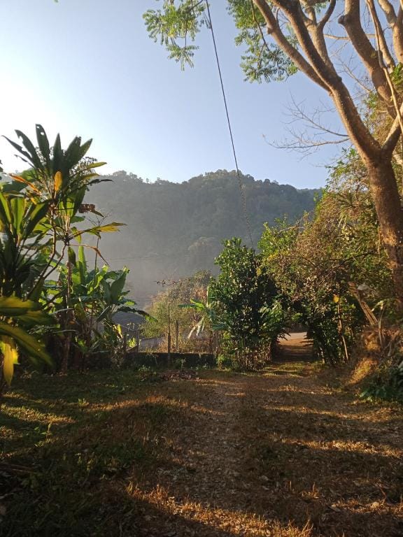 Hug Pangmao Homestay Farm Stay in Thailand