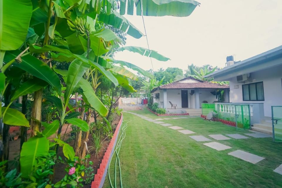 Emmanuel Guesthouse Anjuna Hotel in Goa, India