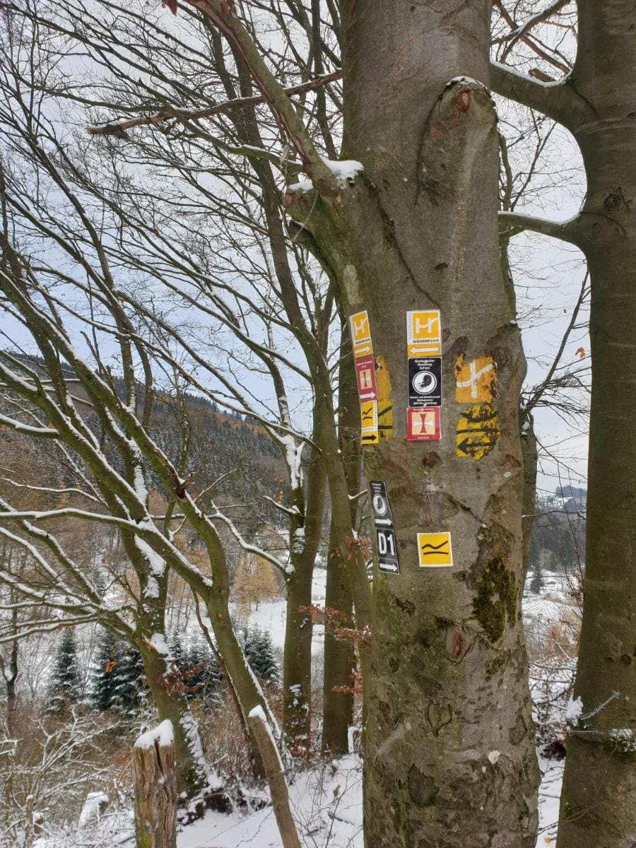 Waldhof Hochsauerland Hotel in Willingen
