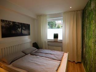 Ferienwohnung Hexenzauber I in Braunlage Apartment in Braunlage