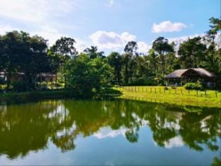 The Windchimes Retreat  Vacation rental in Kerala