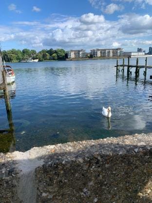 Stylish Comfotabe  Riverside Cottage Vacation rental in Southampton
