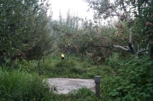 Enthralling Escapes Nature Stay and Trek Vacation rental in Manali
