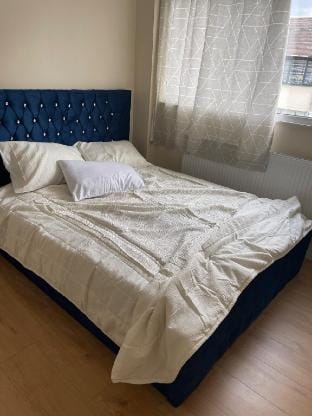 Deluxe London City Airport Villa Vacation rental in London