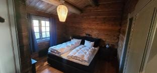 The Whole Beautiful Cabin With Jacuzzi  A Luxurious Getaway in Solberglia Vacation rental in Innlandet