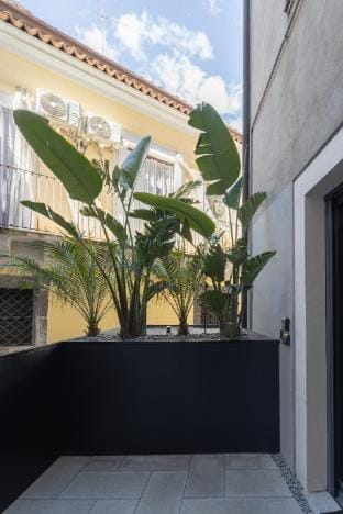 Terme di bacco Apartment in Catania