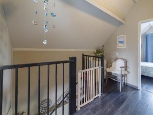 Holiday Home in Zeeland with Spacious Garden Vacation rental in Zeeland, Netherlands