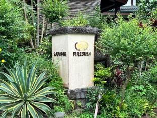 Cozy Private Home in the woods Vacation rental in Calabarzon