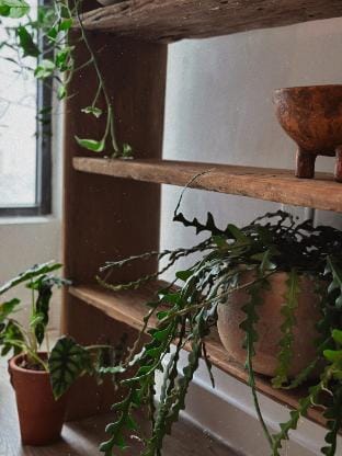 Gốm Homestay Ecopark Apartment in Laos