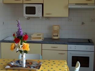 Résidence Des Bains Vacation rental in Finistere