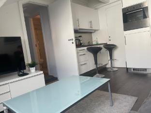 Located at heart of city center Apartment in Oslo