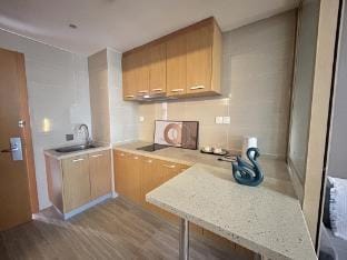 整套公寓带阳台，金京路地铁站，浦东机场，迪士尼，滑雪场干净整洁 Apartment in Shanghai