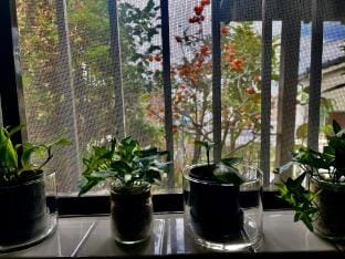Traditional Japanese home above the city Vacation rental in Japan