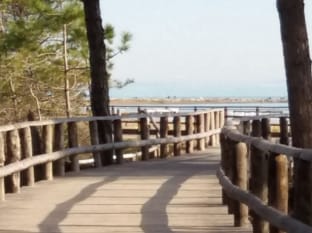 Enjoy our cozy apartment close to the beach by Beahost Rentals Apartment in Bibione