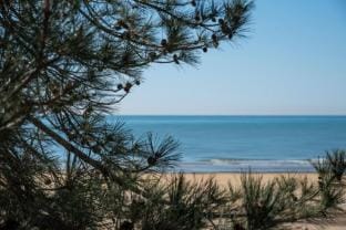 Charming flat close to the beach - Beahost Apartment in Bibione