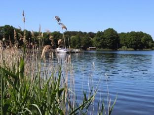 Ferienhaus am Oase am Vilzsee Vacation rental in Rheinsberg