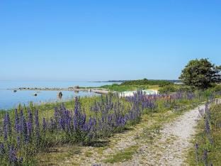 person holiday home in GOTLANDS.TOFTA Vacation rental in Gotland County, Sweden