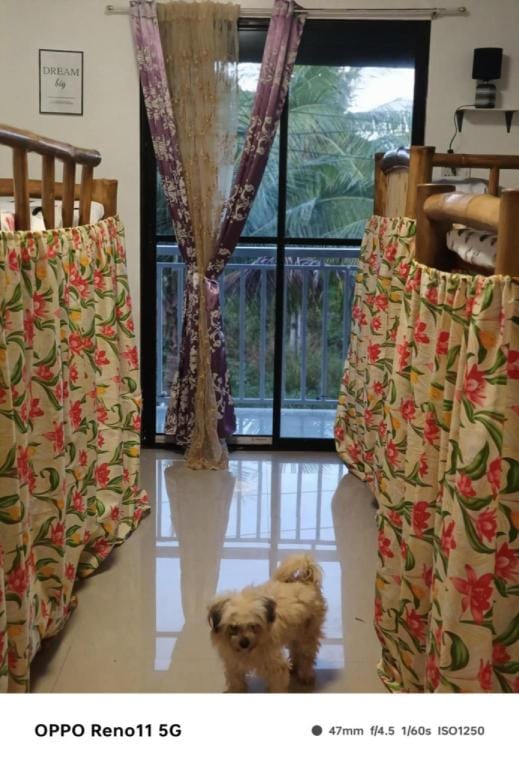 Arwaka Hostel Hotel in Central Visayas