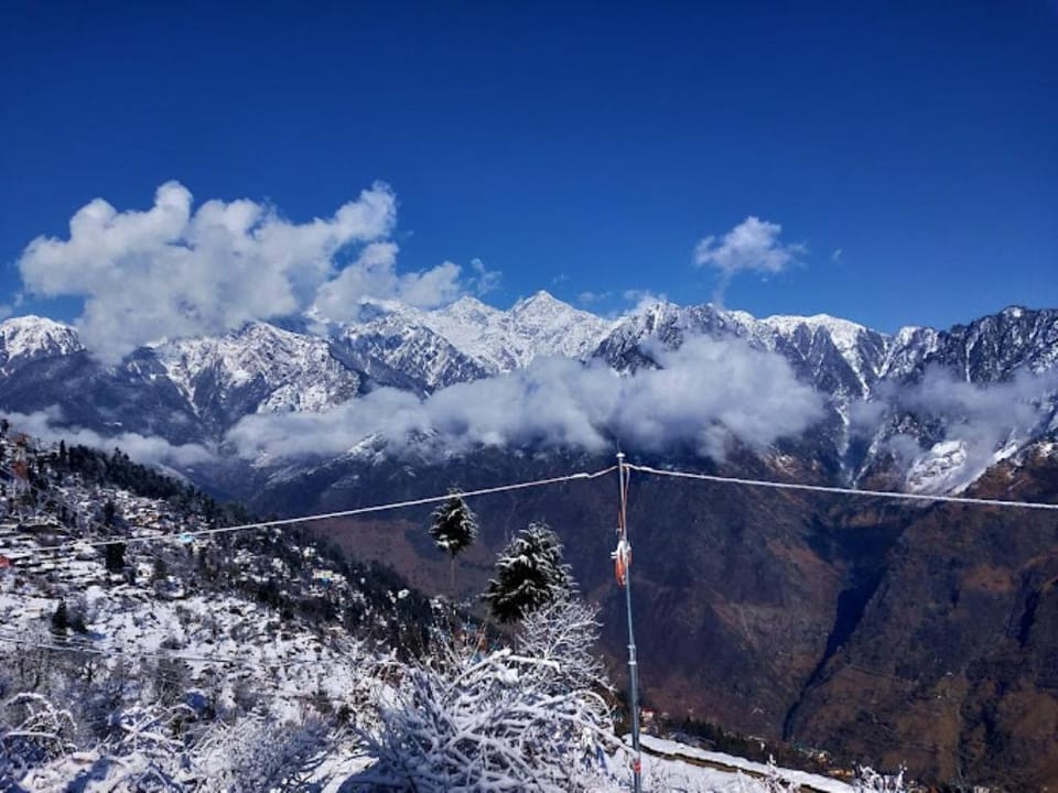 Morning Glory Camping and trekking Jyotirmath Luxury tent in Uttarakhand