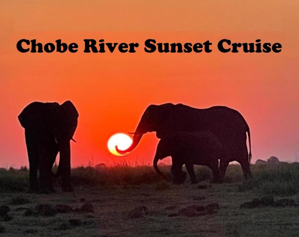 Bush Adventure Guest House Bed and Breakfast in Africa