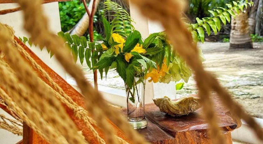 Dive and Sleep - All Inclusive Diving Guesthouse Hotel in Maldives