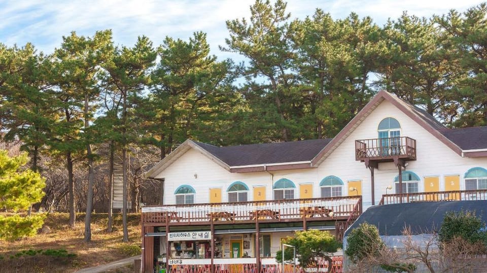 Taean Vintage House Pet-friendly Pension Bed and Breakfast in South Korea