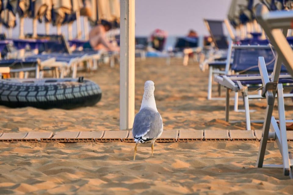 Luminous flat on the shores of Lignano Apartment in Lignano Sabbiadoro