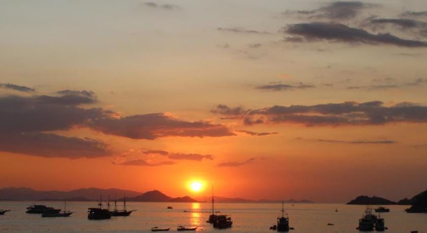Komodo Shores Hotel in Indonesia