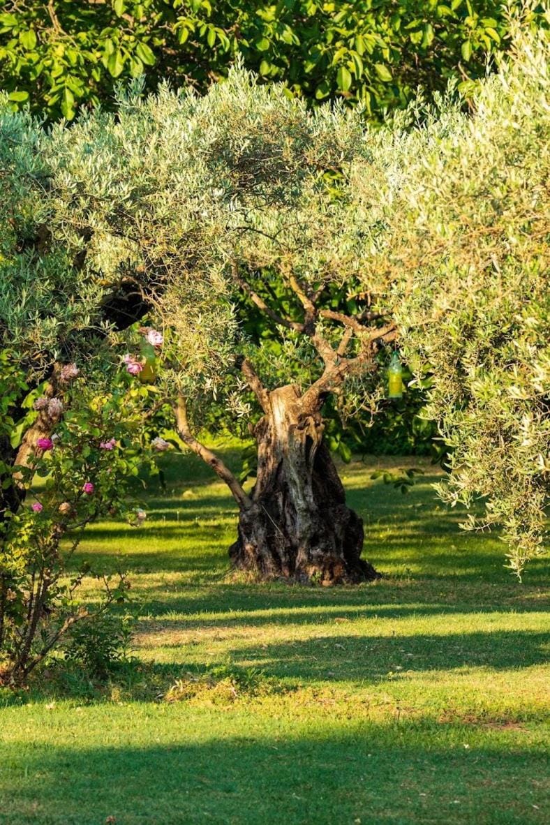 Douceur des Mées Bed and Breakfast in Provence-Alpes-Côte d'Azur