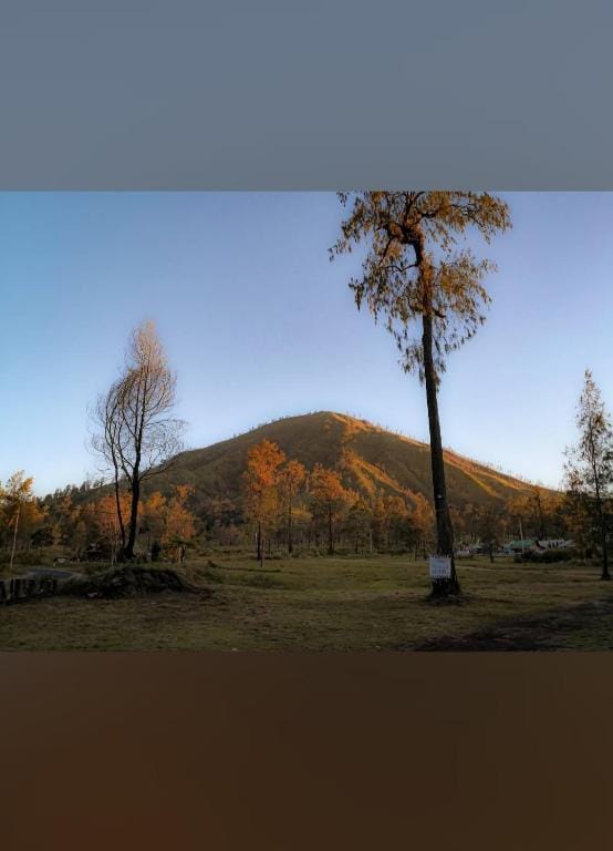 Avrilla Ijen Homestay & Cafe Inn in East Java
