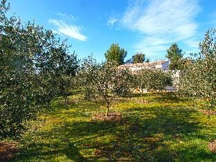 House 1801 Vacation rental in Medulin