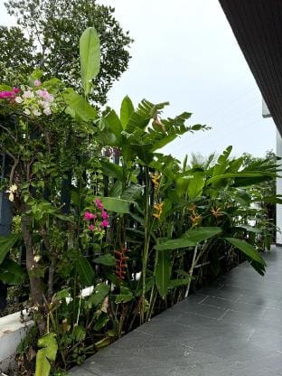 Nhà An - Biệt thự sân vườn view sông Cần Giờ Villa in Ho Chi Minh City