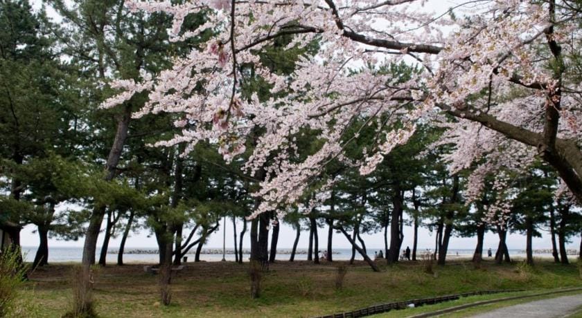 Enjoy the changing seasons of nature! Comfortable Stay in front of Aippu Park (4-person capacity) Apartment in Japan