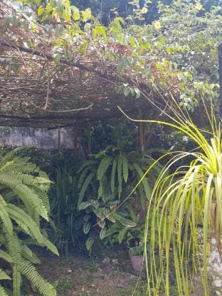 Lamp Colonial Bungalow Airport Vacation rental in Western Province