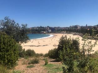 Beachside 3 bedroom apartment Apartment in Sydney