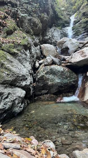 Apple Valley Homestay  Vacation rental in Himachal Pradesh