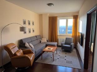  Apartment Residence Moser - Free Parking Apartment in Saxony