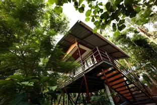 cave valley wayanad  Apartment in Kerala