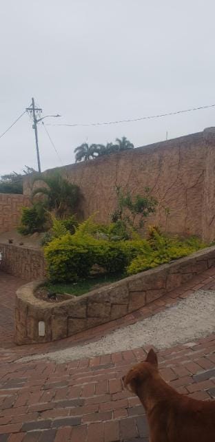Alena's Guest House  Vacation rental in KwaZulu-Natal
