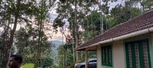 Coffee camp home stay with tree house  Vacation rental in Kerala
