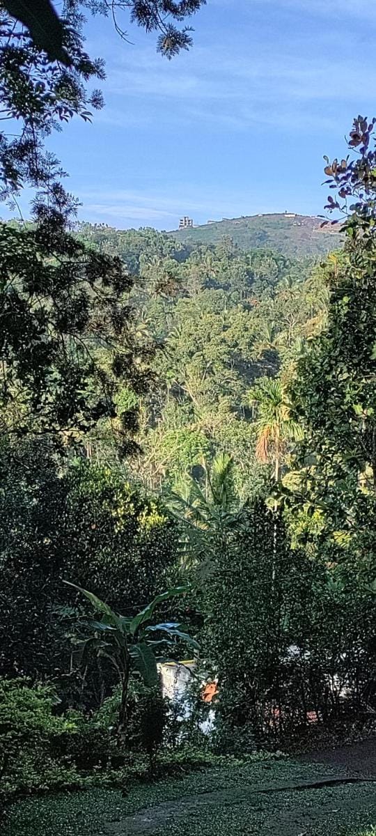 Coffee camp home stay with tree house  Vacation rental in Kerala