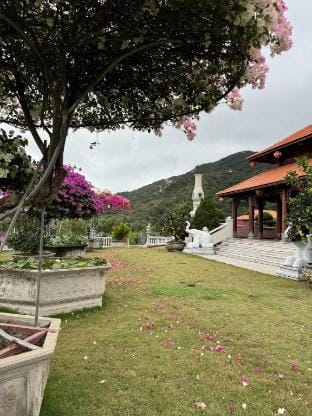 Hoa Giấy Hilltop Retreat Vacation rental in Ba Ria - Vung Tau