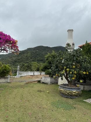 Hoa Giấy Hilltop Retreat Vacation rental in Ba Ria - Vung Tau