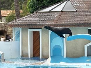 Mobilhome Eleganzia - Cc921 Les Charmettes 4 stars Vacation rental in Les Mathes