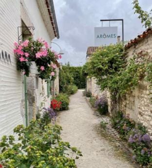 Mobilhome Super Titania - 3 Bedrooms - Family Camping JF102 Vacation rental in Les Mathes