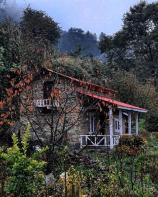 The eco mudhouse naggar  Vacation rental in Himachal Pradesh