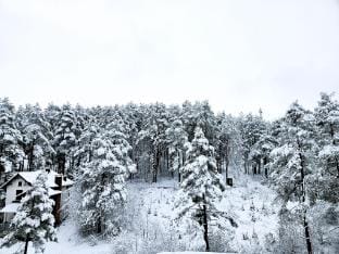 Magic Forest Apartman Apartment in Zlatibor