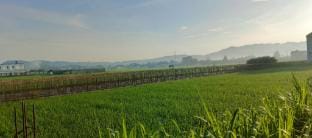 Tepi Sawah Family Guesthouse Vacation rental in Special Region of Yogyakarta